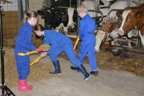 Agroturismo Landrijk de Reesprong