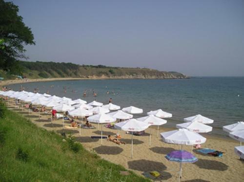 Hostal Family Hotel Bellehouse