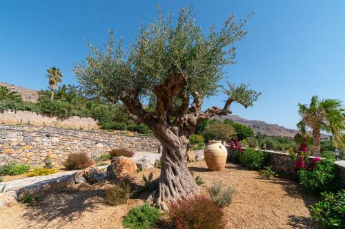 Hostal Yiannis Retreat