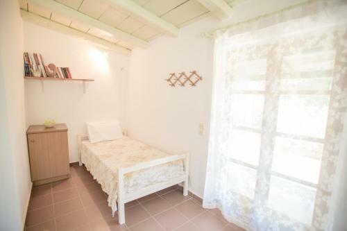 Apartamento Traditional House In A Natural Oasis