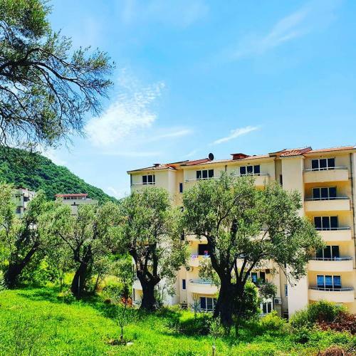 Apartamentos Panorama Petrovac