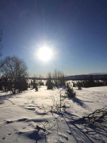 Hotel Guriset H�yfjellshotell