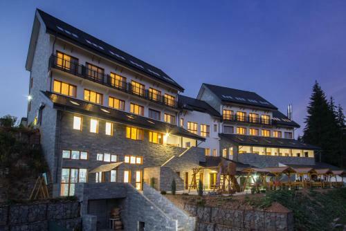Hotel Pensiunea Art 1000