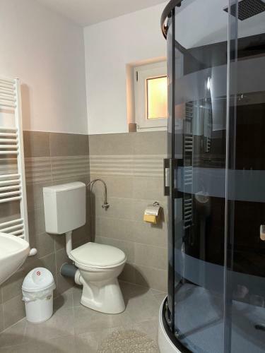 Hostal Pensiunea Casa Alexandra