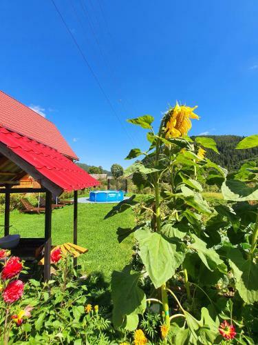 Lodge Felice Riposo