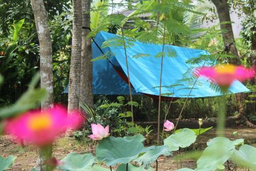 Giao Diem Homestay