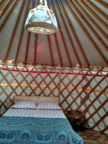 Hostal Guest House On Nazadze 41a
