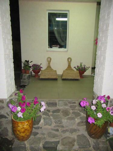 Hostal Crystal Guest House