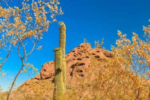 Grayhawk Condo