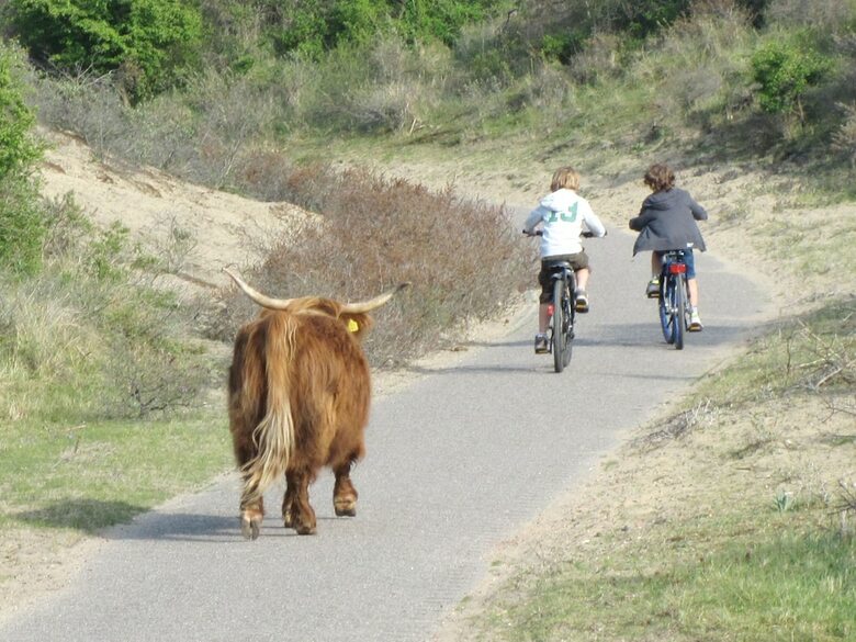 Modern Lodge With Dishwasher, 100 M. From The Sea