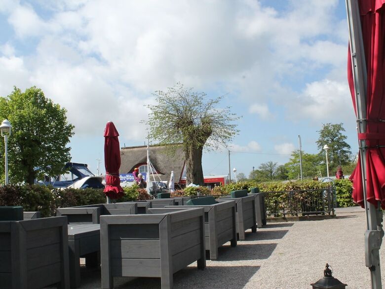 Modern Villa In Zingst Germany Near Beach