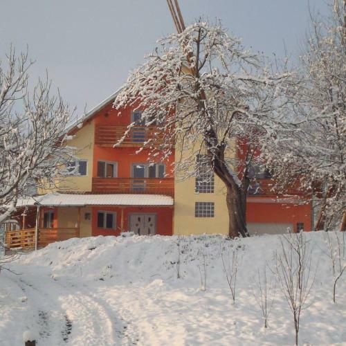 Agroturismo Pensiunea Valea Badilii