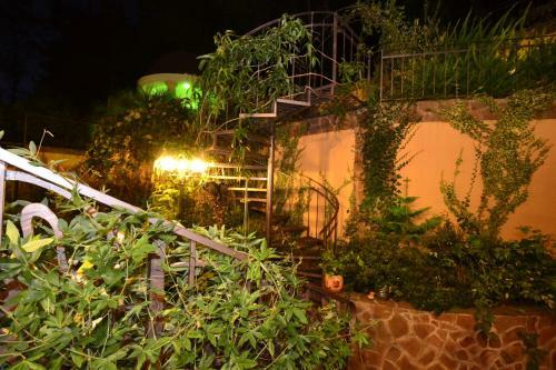 Hostal European Guest House
