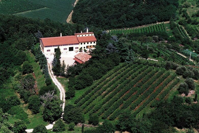 Fattoria Busa Dell'oro B&B