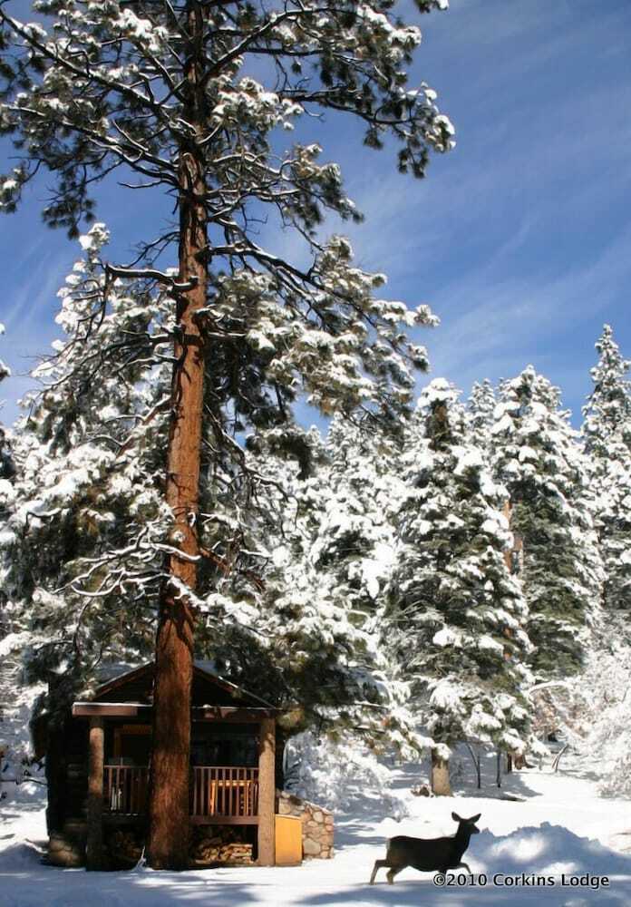 Posada Corkins Lodge