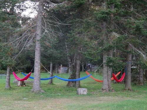 Lodge Robert Frost Mountain Cabins
