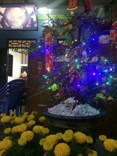 Bed & Breakfast Lam Long Luan Homestay