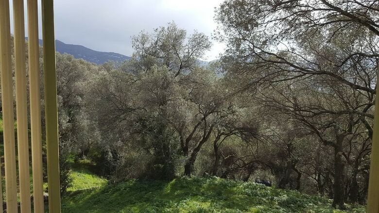 R�sidence A Tribbia