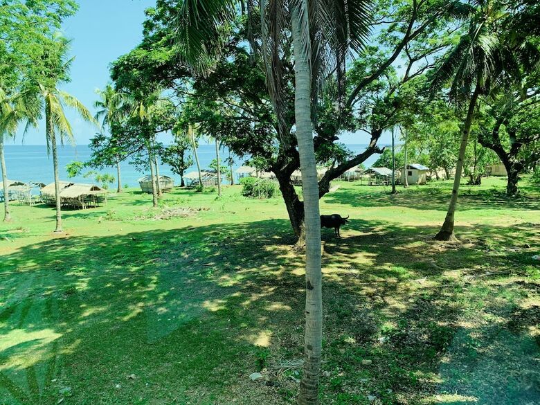 Hotel G Beach Resort And Restobar