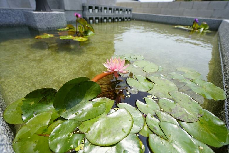 Bed & Breakfast Penghu Lucai Homestay