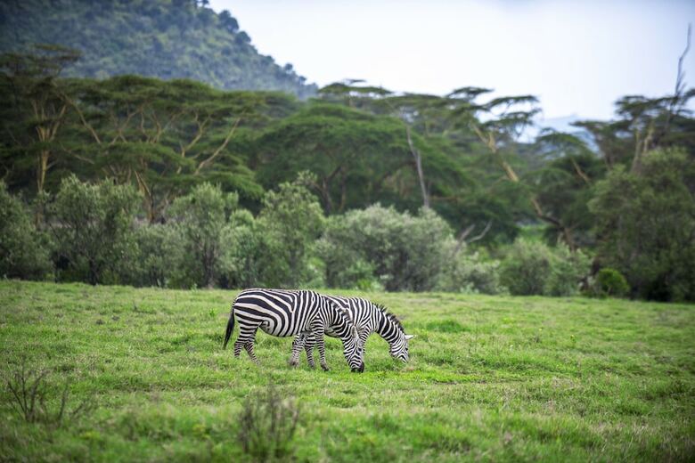 Crater Lake Tented Camp & Game Sanctuary