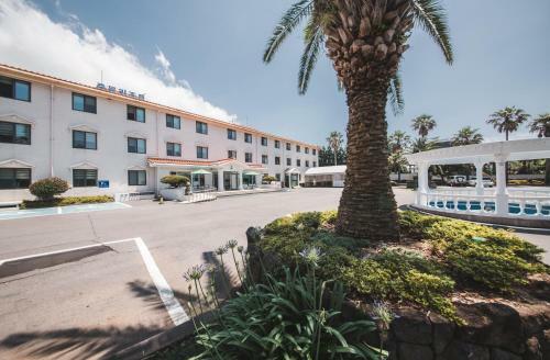 Apartamento Jungmun Resort Jeju