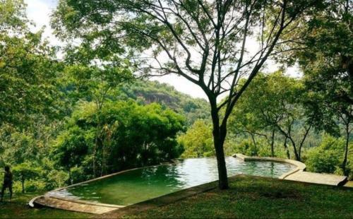 Hotel Birds Park Polgahawela
