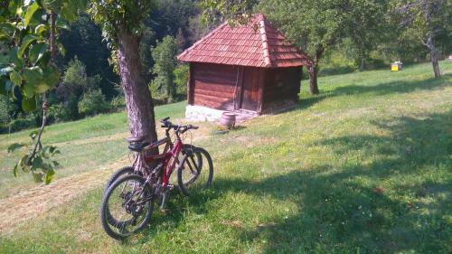 Lodge Gostilje