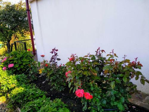 Hostal Voskresenskaya Dacha