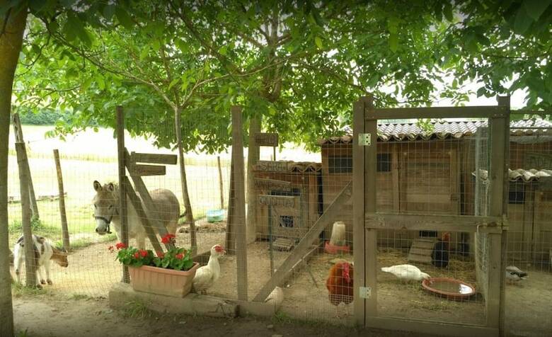 Agroturismo Agriturismo Il Truffarello