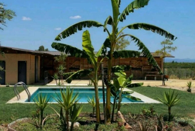 Agroturismo Casa Rural Ecuestre
