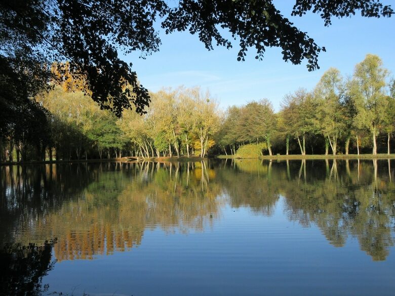 Bed & Breakfast La Maison Des Etangs