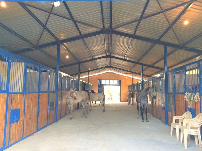 Posada The Ranch - Lodge & Equestrian Center