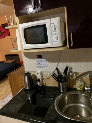 Apartment Pionerskaya 16