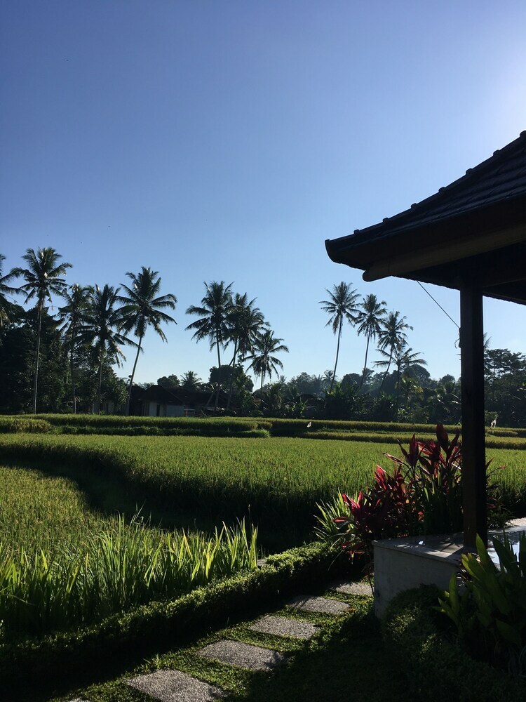 Bed & Breakfast Puri Raya Villa Ubud