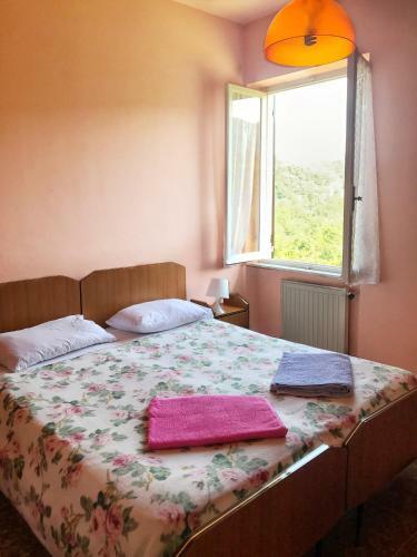 Hotel Albergo Delfino