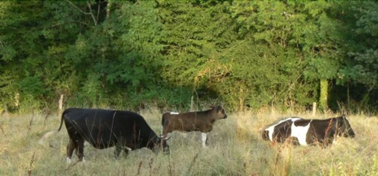 Agroturismo Le Jardin de Beyssin