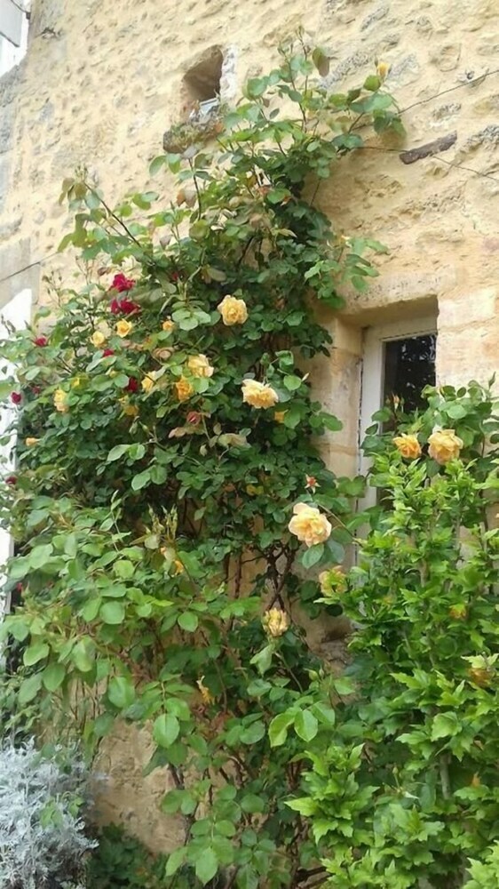 Manoir de La Brunie