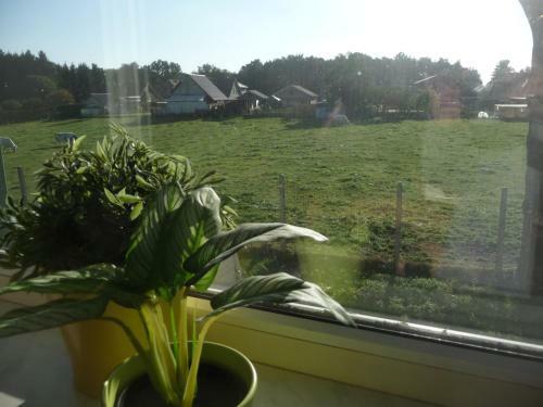 Apartamento De Alpacaboerderij