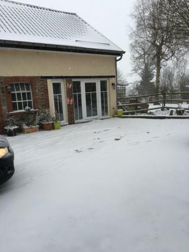The Cottage