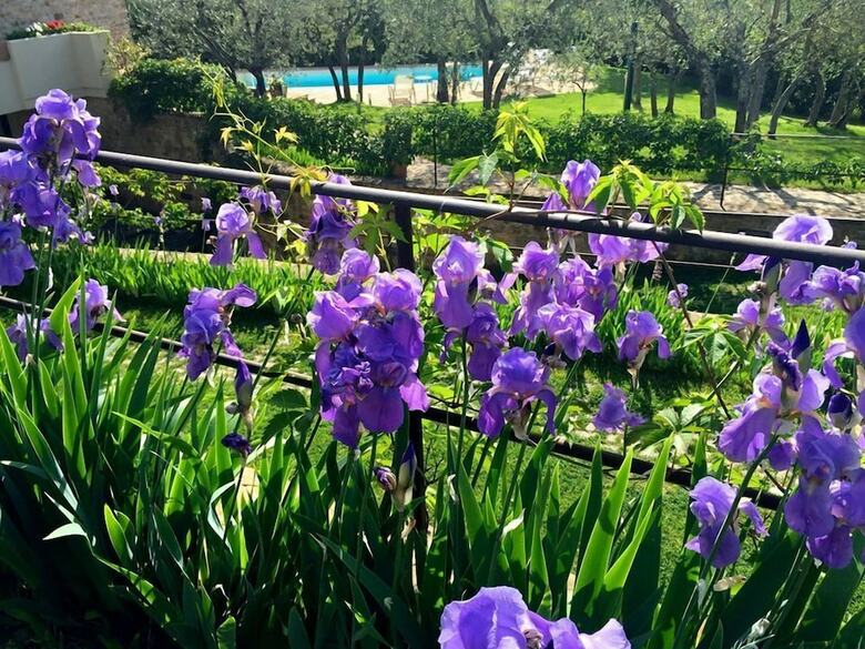 Apartamento La Compagnia Del Chianti