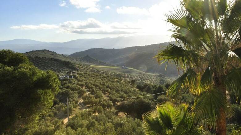 Agroturismo Cortijo La Fe