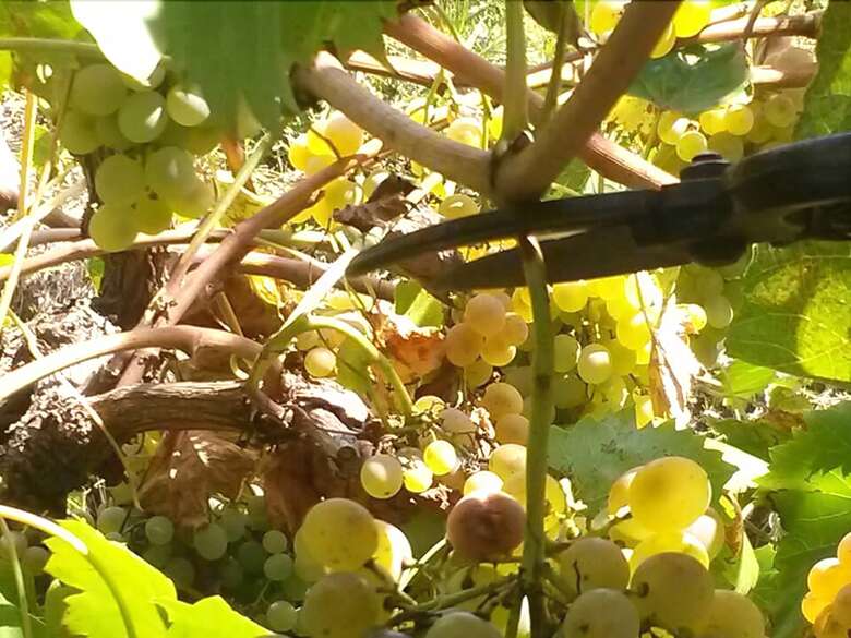 Agroturismo Agriturismo Ai Monaci