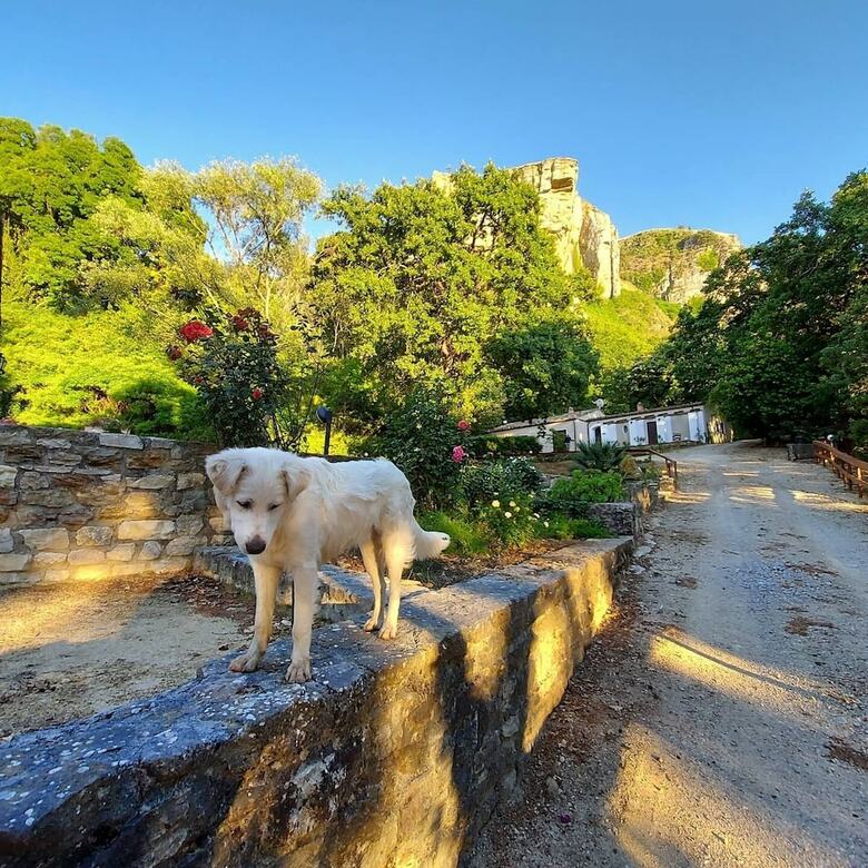 Agroturismo Chiosi Country Club