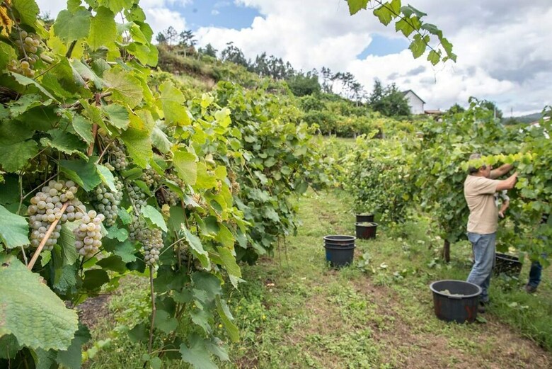 Agroturismo Casa Da Cevidade