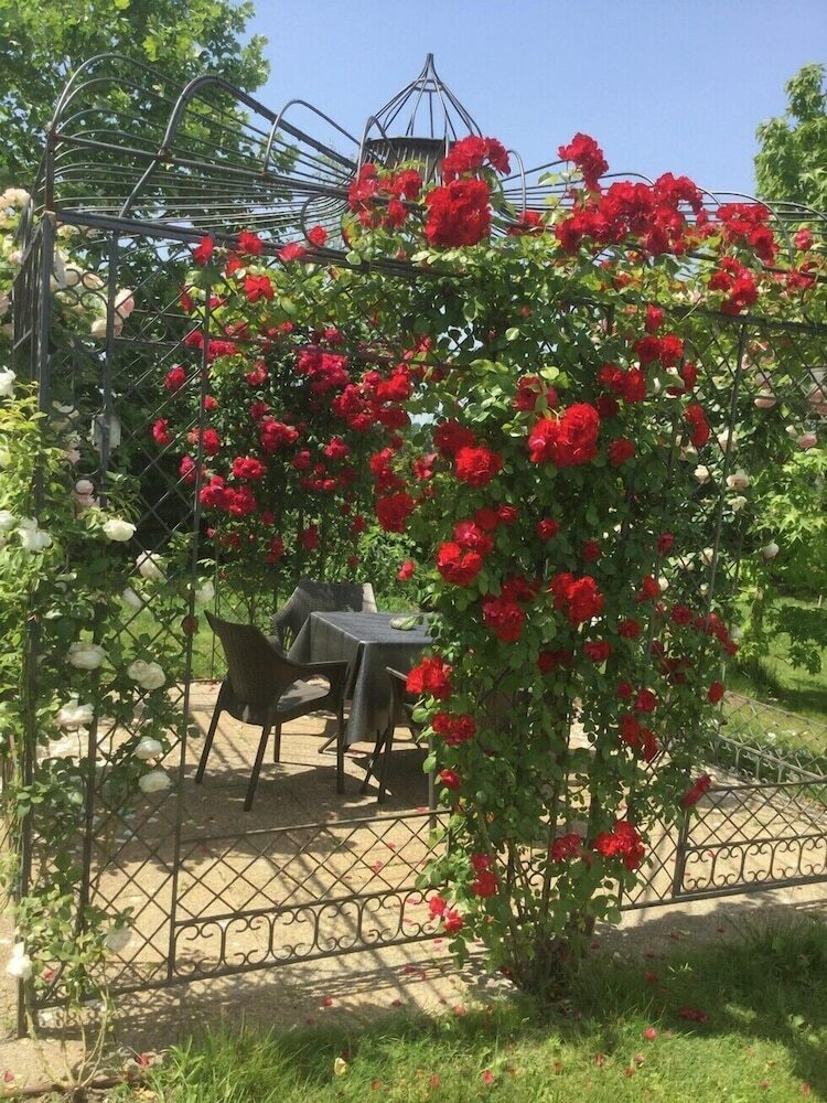 Bed And Breakfast Red Wine Country House