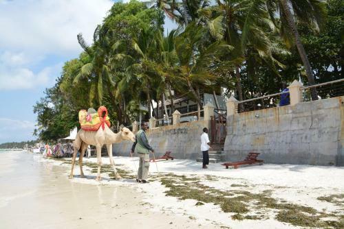 Hotel Neptune Beach Resort - All Inclusive