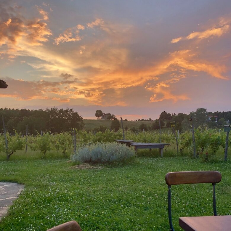 Agroturismo La Maddalena Bed & Wine