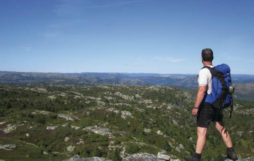 Holiday Home D�lemo Hillestadheia VI