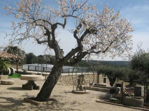 Agroturismo Quinta Das Pias